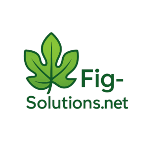 logo of fig-solutions