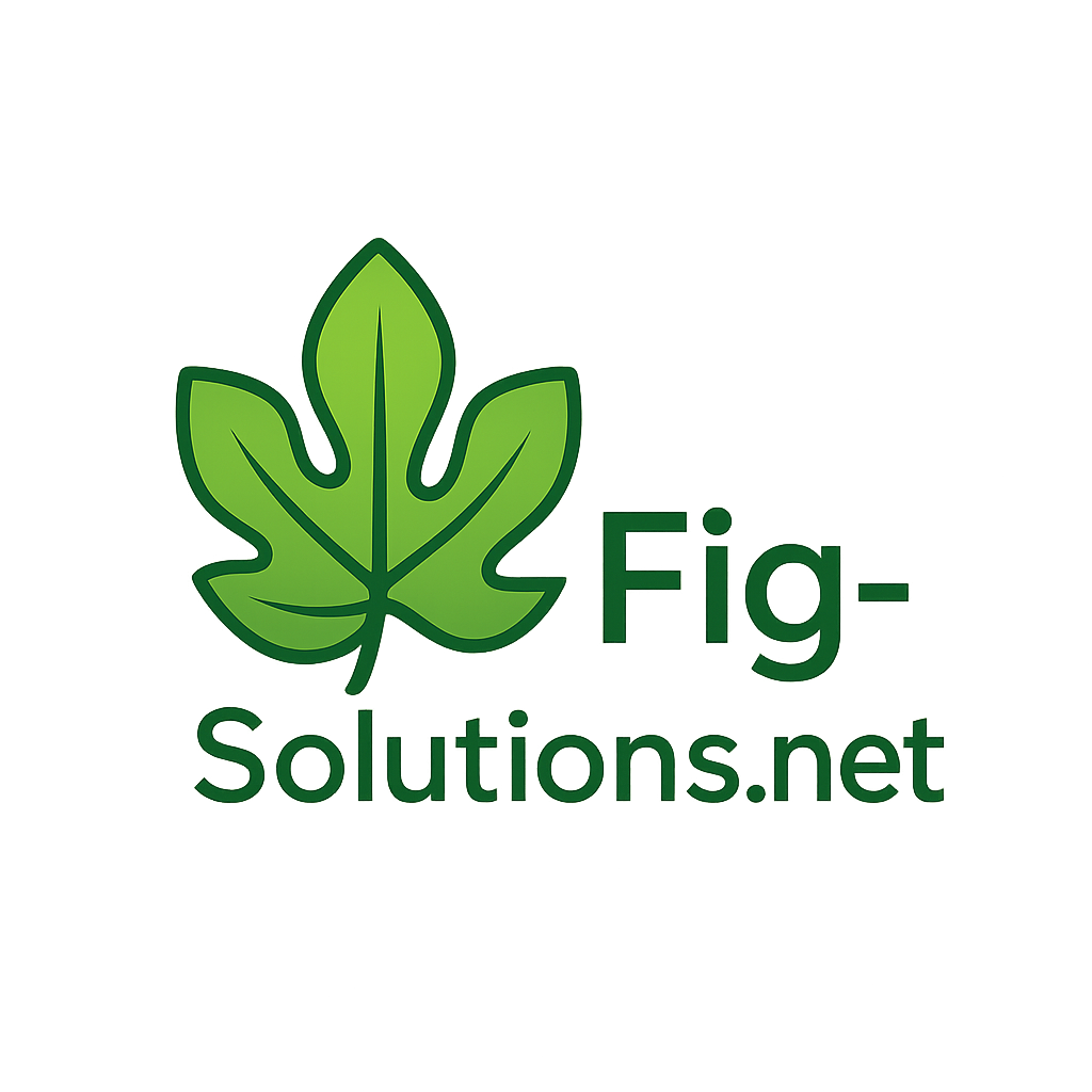 logo of fig-solutions